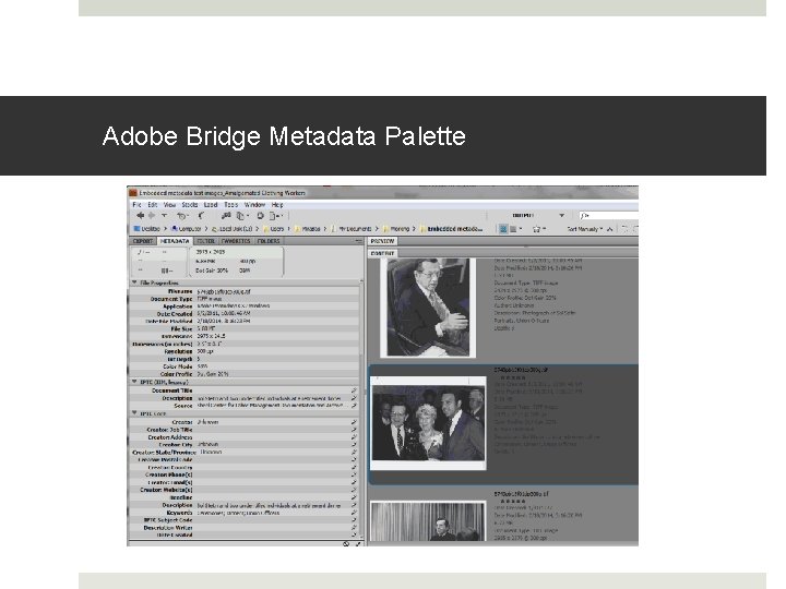Adobe Bridge Metadata Palette Adobe Bridge Metadata Palette