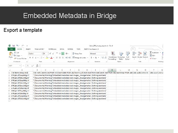 Embedded Metadata in Bridge Export a template Embedded Metadata in Bridge Export a template