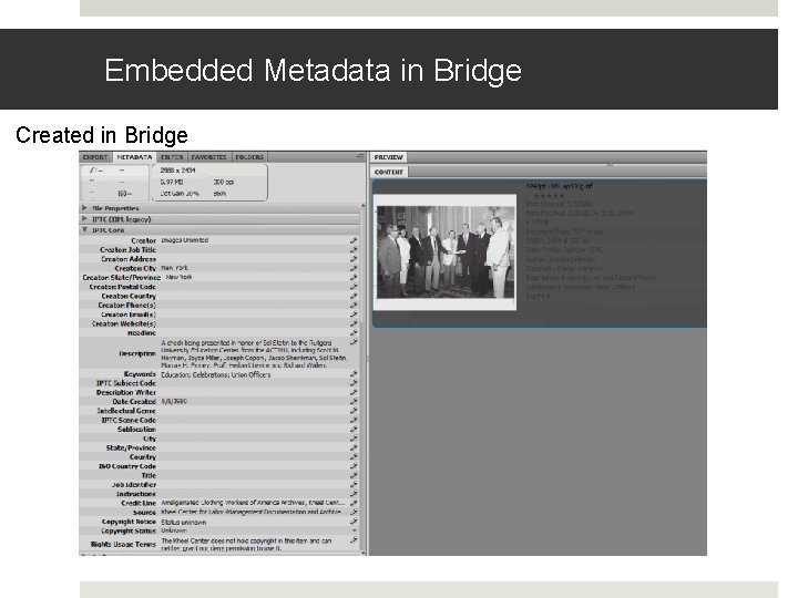 Embedded Metadata in Bridge Created in Bridge Embedded Metadata in Bridge Created in Bridge