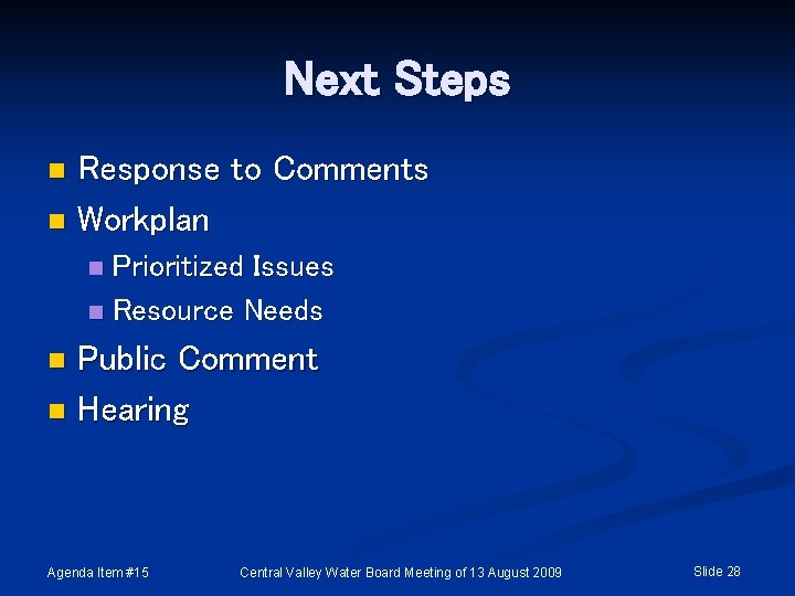 Next Steps Response to Comments n Workplan n Prioritized Issues n Resource Needs n