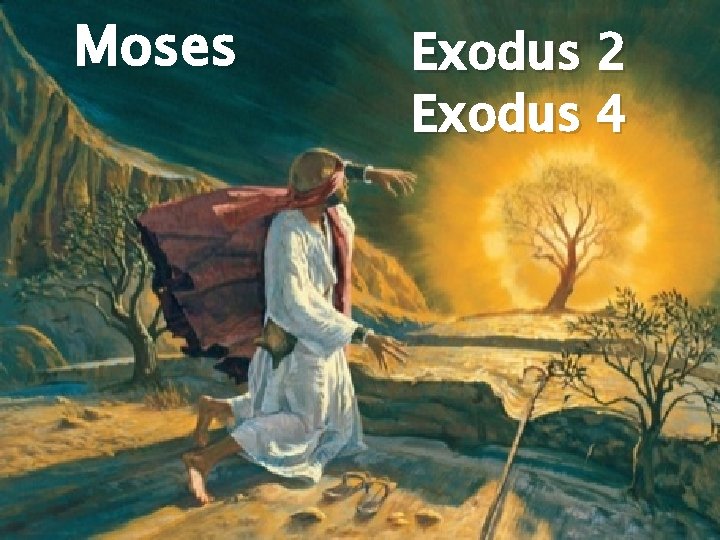 Moses Exodus 2 Exodus 4 