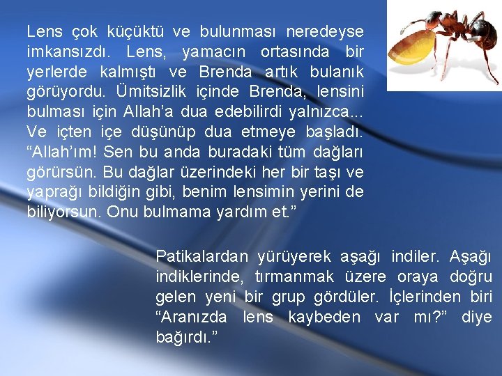 Lens çok küçüktü ve bulunması neredeyse imkansızdı. Lens, yamacın ortasında bir yerlerde kalmıştı ve