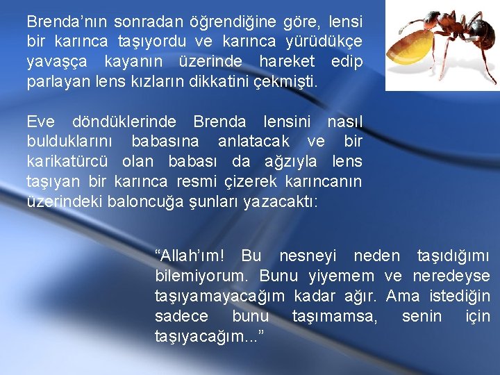 Brenda’nın sonradan öğrendiğine göre, lensi bir karınca taşıyordu ve karınca yürüdükçe yavaşça kayanın üzerinde