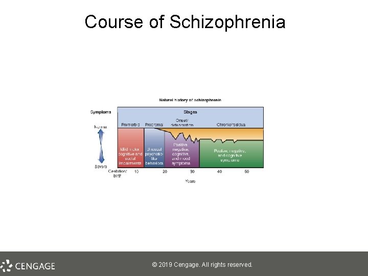 Course of Schizophrenia © 2019 Cengage. All rights reserved. 