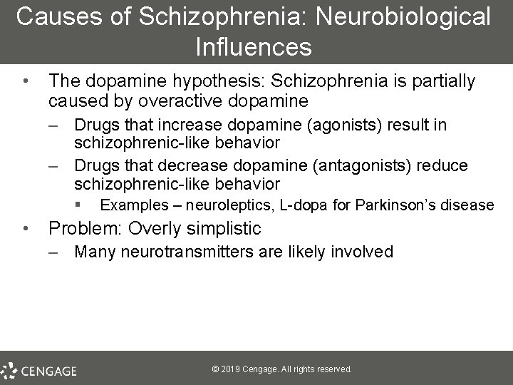 Causes of Schizophrenia: Neurobiological Influences • The dopamine hypothesis: Schizophrenia is partially caused by