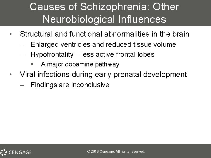 Causes of Schizophrenia: Other Neurobiological Influences • Structural and functional abnormalities in the brain