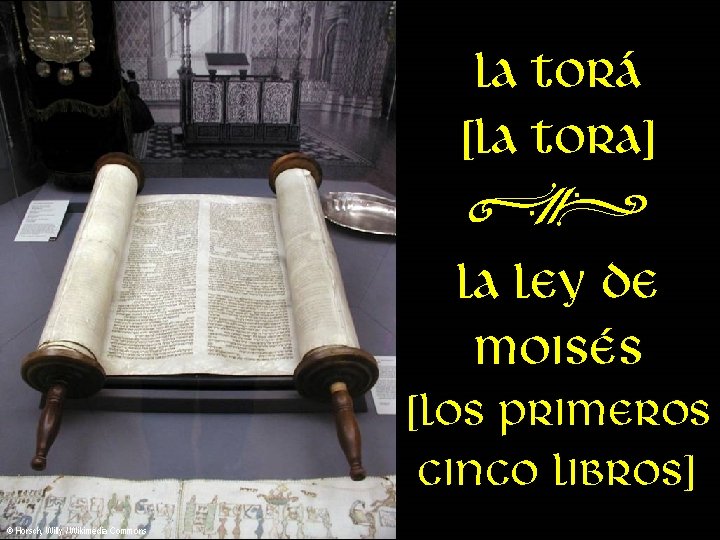 la Torá [la tora] N la Ley de Moisés [los primeros cinco libros] ©