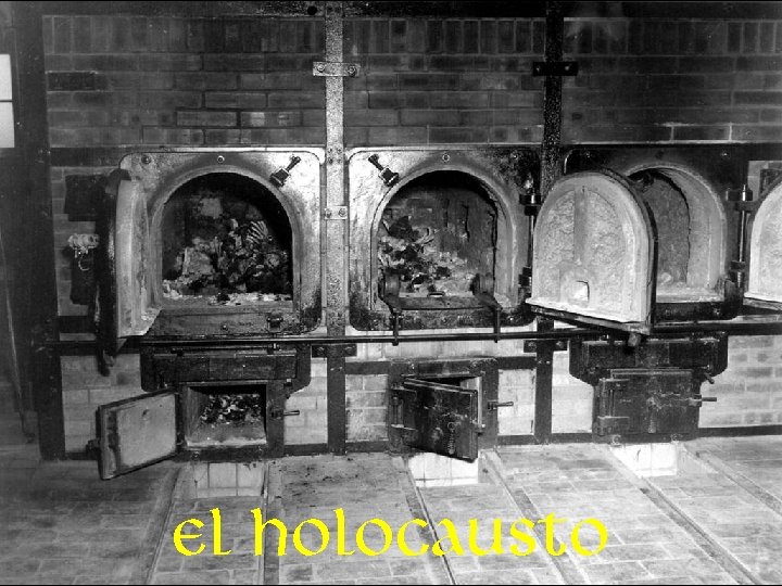 El Holocausto 