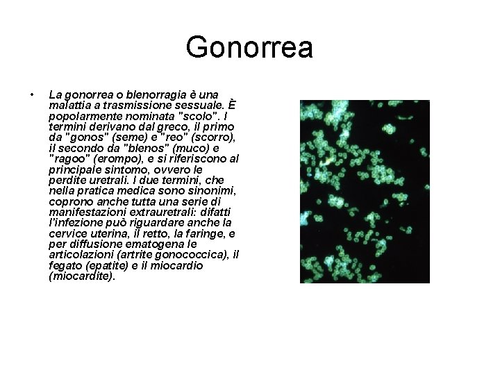 Gonorrea • La gonorrea o blenorragia è una malattia a trasmissione sessuale. È popolarmente