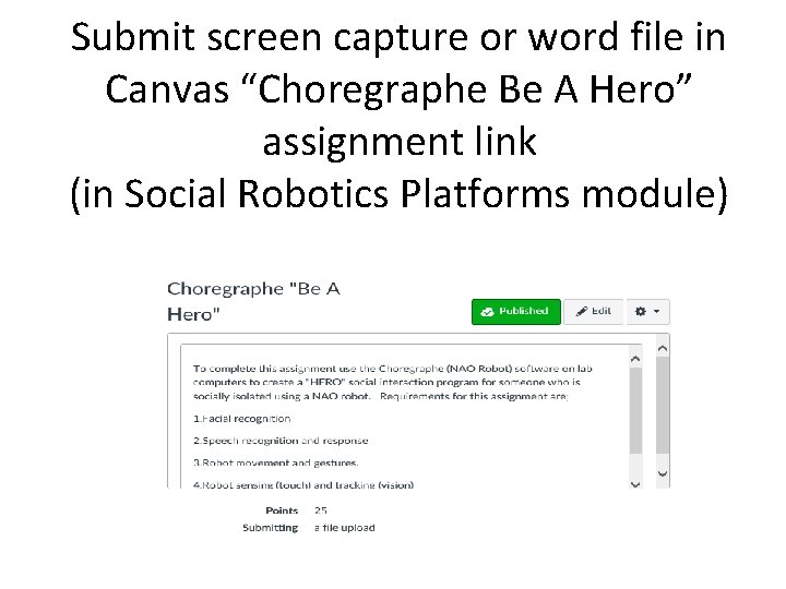 Submit screen capture or word file in Canvas “Choregraphe Be A Hero” assignment link