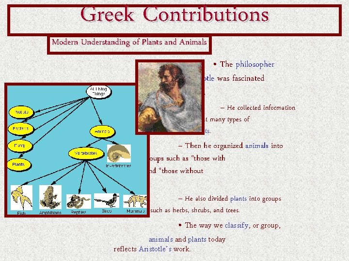 Greek Contributions Modern Understanding of Plants and Animals • The philosopher Aristotle was fascinated