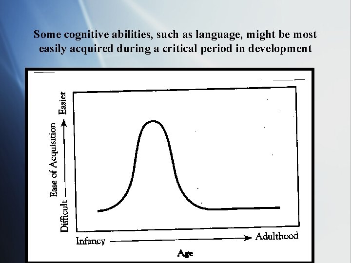 Some cognitive abilities, such as language, might be most easily acquired during a critical