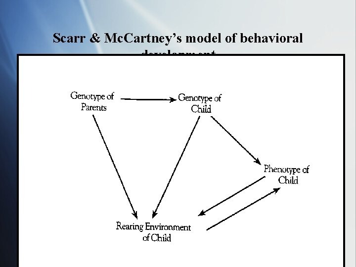 Scarr & Mc. Cartney’s model of behavioral development 