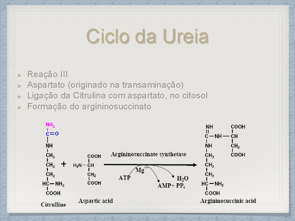 Ciclo da Ureia Reação III Aspartato (originado na transaminação) Ligação da Citrulina com aspartato,