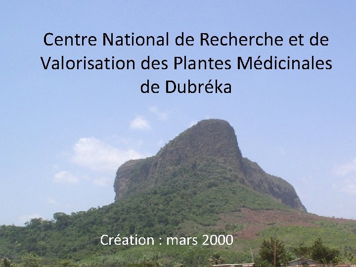 Centre National de Recherche et de Valorisation des Plantes Médicinales de Dubréka Création :