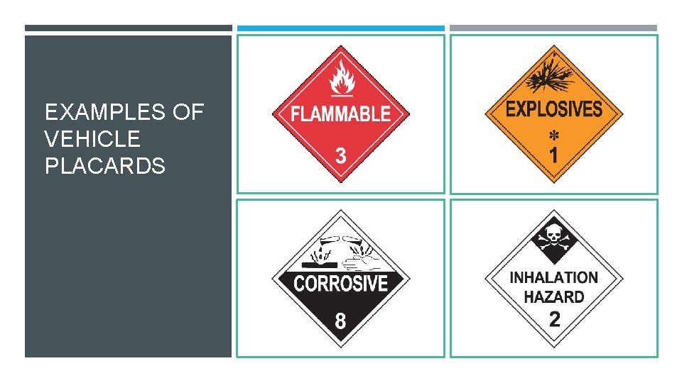 EXAMPLES OF VEHICLE PLACARDS 