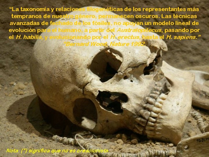 “La taxonomía y relaciones filogenéticas de los representantes más tempranos de nuestro género, permanecen
