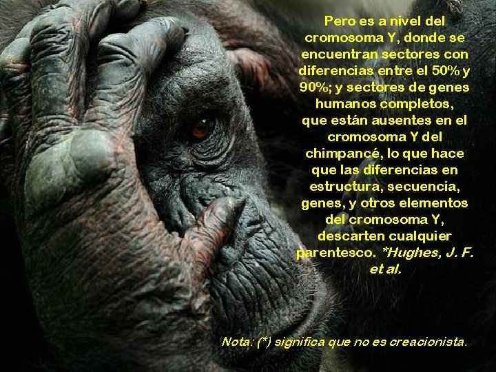 Pero es a nivel del cromosoma Y, donde se encuentran sectores con diferencias entre