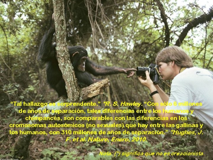 “Tal hallazgo es sorprendente. ” *R. S. Hawley. “Con sólo 6 millones de años