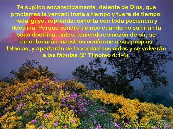 Te suplico encarecidamente, delante de Dios, que proclames la verdad: Insta a tiempo y
