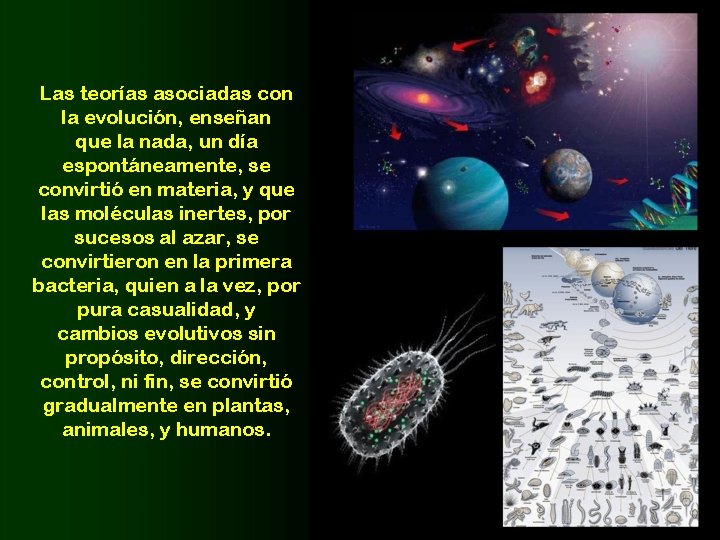 Las teorías asociadas con la evolución, enseñan que la nada, un día espontáneamente, se
