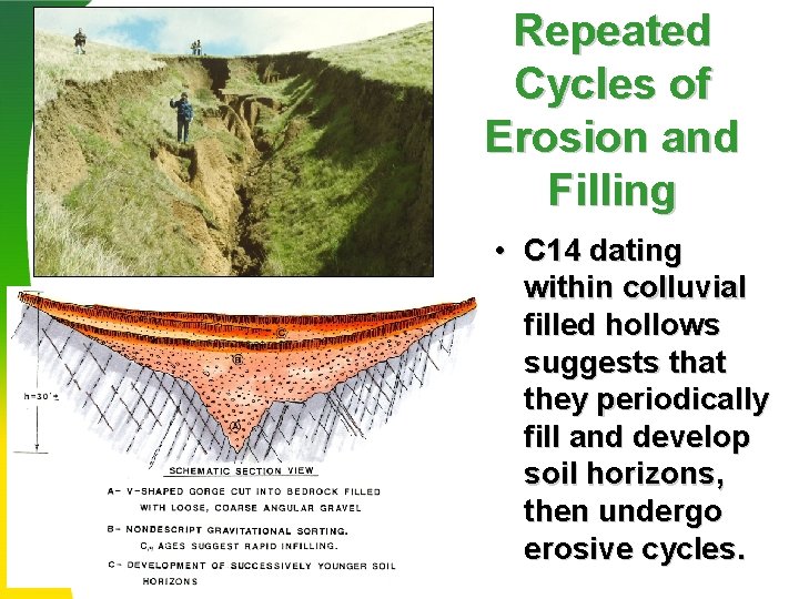 Repeated Cycles of Erosion and Filling • C 14 dating within colluvial filled hollows