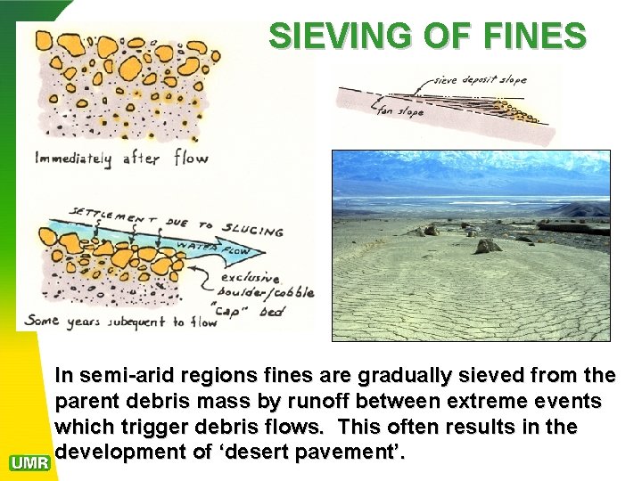 SIEVING OF FINES In semi-arid regions fines are gradually sieved from the parent debris