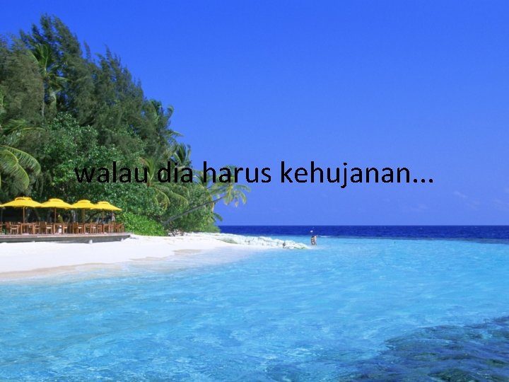 walau dia harus kehujanan. . . 