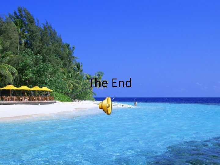 The End 