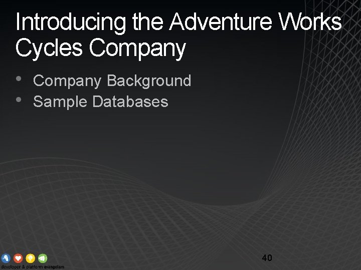 Introducing the Adventure Works Cycles Company • • Company Background Sample Databases 40 