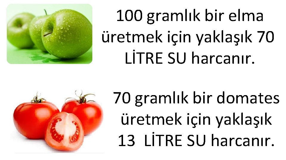 100 gramlık bir elma üretmek için yaklaşık 70 LİTRE SU harcanır. 70 gramlık bir