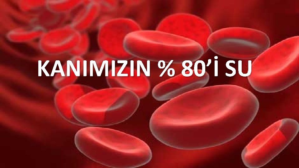 KANIMIZIN % 80’İ SU 