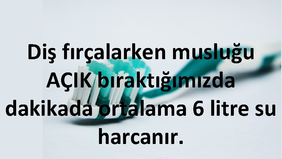 Diş fırçalarken musluğu AÇIK bıraktığımızda dakikada ortalama 6 litre su harcanır. 