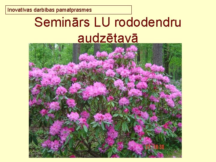 Inovatīvas darbības pamatprasmes Seminārs LU rododendru audzētavā 