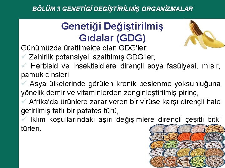 BÖLÜM 3 GENETİĞİ DEĞİŞTİRİLMİŞ ORGANİZMALAR Genetiği Değiştirilmiş Gıdalar (GDG) Günümüzde üretilmekte olan GDG’ler: ü