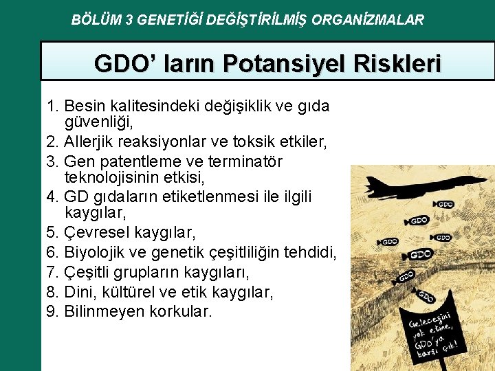 BÖLÜM 3 GENETİĞİ DEĞİŞTİRİLMİŞ ORGANİZMALAR GDO’ ların Potansiyel Riskleri 1. Besin kalitesindeki değişiklik ve