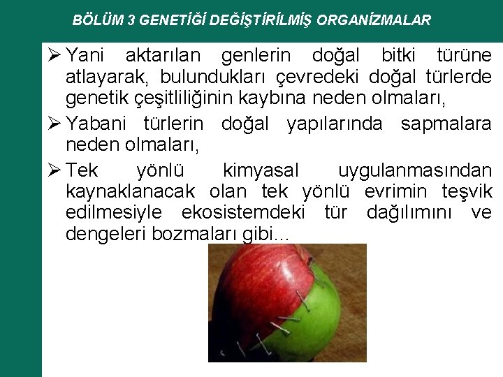 BÖLÜM 3 GENETİĞİ DEĞİŞTİRİLMİŞ ORGANİZMALAR Ø Yani aktarılan genlerin doğal bitki türüne atlayarak, bulundukları