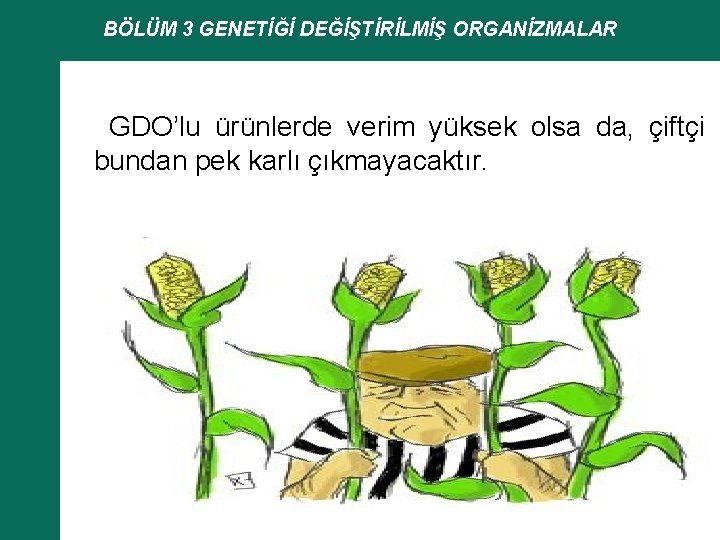 BÖLÜM 3 GENETİĞİ DEĞİŞTİRİLMİŞ ORGANİZMALAR GDO’lu ürünlerde verim yüksek olsa da, çiftçi bundan pek