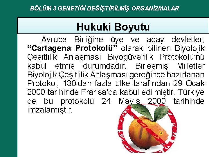 BÖLÜM 3 GENETİĞİ DEĞİŞTİRİLMİŞ ORGANİZMALAR Hukuki Boyutu Avrupa Birliğine üye ve aday devletler, “Cartagena