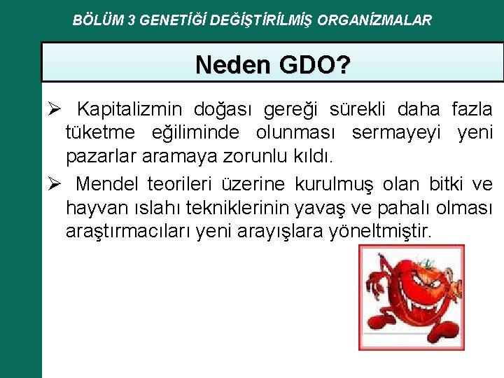 BÖLÜM 3 GENETİĞİ DEĞİŞTİRİLMİŞ ORGANİZMALAR Neden GDO? Ø Kapitalizmin doğası gereği sürekli daha fazla