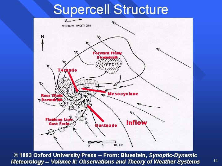 Supercell Structure Forward Flank Downdraft Tornado Rear Flank Downdraft Flanking Line/ Gust Front Mesocyclone Supercell Structure Forward Flank Downdraft Tornado Rear Flank Downdraft Flanking Line/ Gust Front Mesocyclone