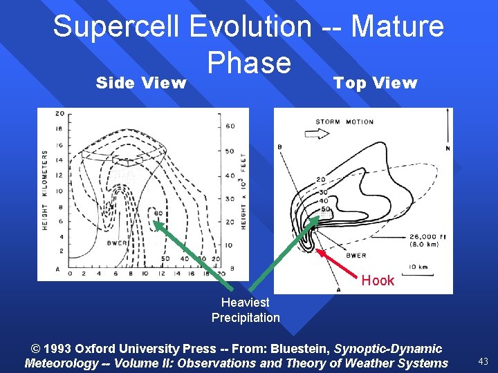 Supercell Evolution -- Mature Phase Side View Top View Hook Heaviest Precipitation © 1993 Supercell Evolution -- Mature Phase Side View Top View Hook Heaviest Precipitation © 1993