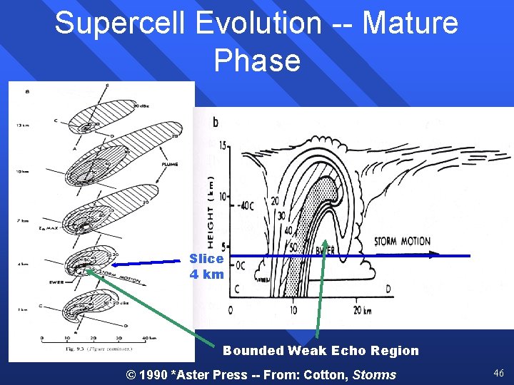 Supercell Evolution -- Mature Phase Slice 4 km Bounded Weak Echo Region © 1990 Supercell Evolution -- Mature Phase Slice 4 km Bounded Weak Echo Region © 1990