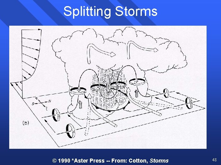 Splitting Storms © 1990 *Aster Press -- From: Cotton, Storms 48 Splitting Storms © 1990 *Aster Press -- From: Cotton, Storms 48