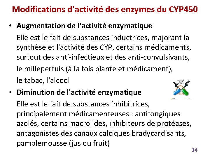Modifications d'activité des enzymes du CYP 450 • Augmentation de l'activité enzymatique Elle est