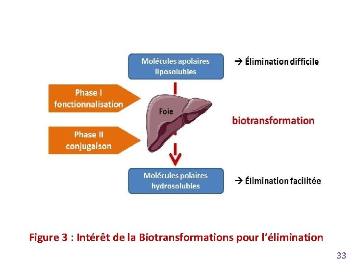Figure 3 : Intérêt de la Biotransformations pour l’élimination 33 