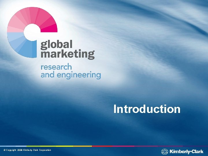 Introduction © Copyright 2008 Kimberly-Clark Corporation 