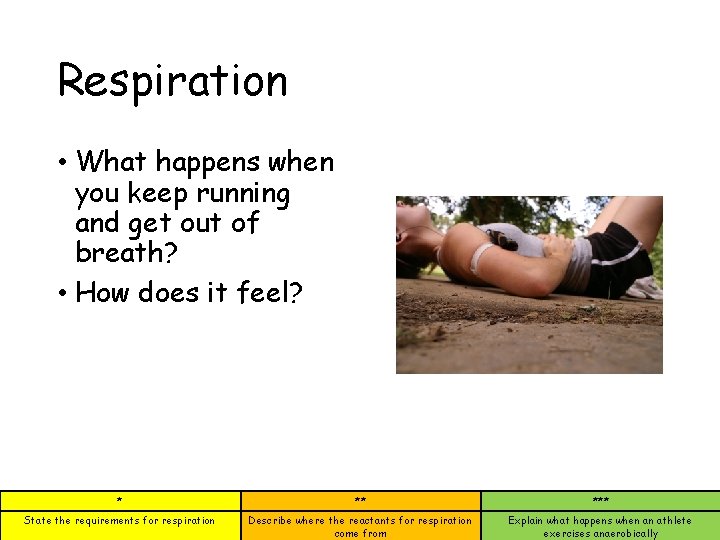 Respiration • What happens when you keep running and get out of breath? •