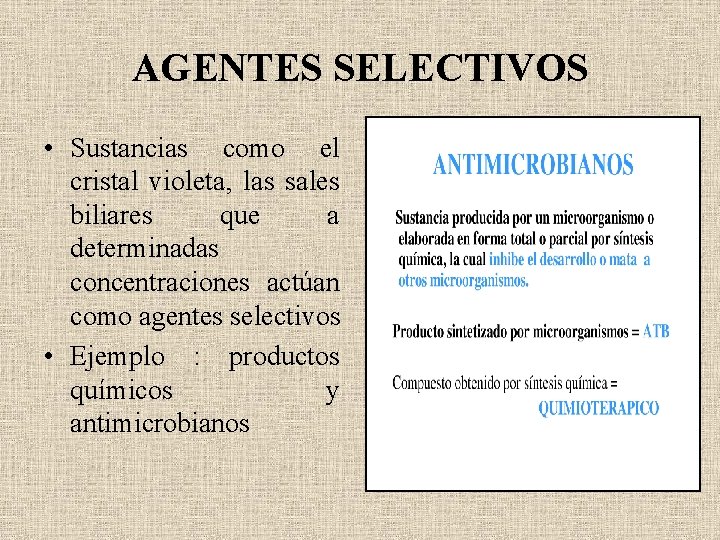 AGENTES SELECTIVOS • Sustancias como el cristal violeta, las sales biliares que a determinadas