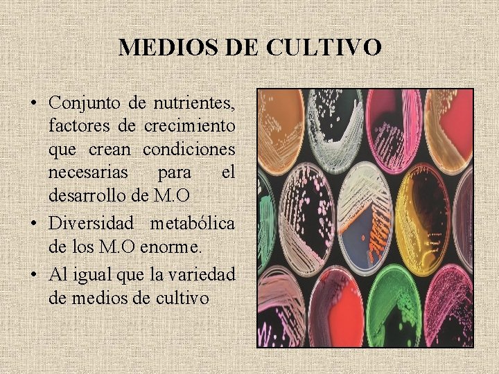 MEDIOS DE CULTIVO • Conjunto de nutrientes, factores de crecimiento que crean condiciones necesarias